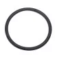 Уплотнительное кольцо Hayward (SX0220Z2) Фото №1