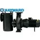 Hayward HCP52153E7, 139 м3/год, 11 кВт, 400 В насос для басейну Фото №1