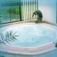 Leisurescape Pools & Spas Otway-8 гідромасажна ванна Фото №5